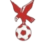 https://img.huisucai.com/img/football/team/4802d26df935b78bb2fcdbbff36e8864.png