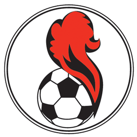 https://img.huisucai.com/img/football/team/5541e5015258ae82b121480f4164267d.png