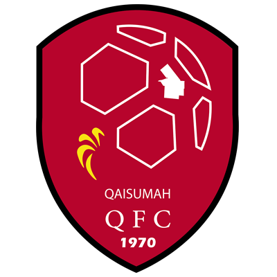 https://img.huisucai.com/img/football/team/b155714d7a8b3230696693bba8181b6d.png